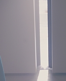 WS013.jpg