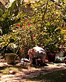 thts3e72026-10-08-21h04m59s216.jpg